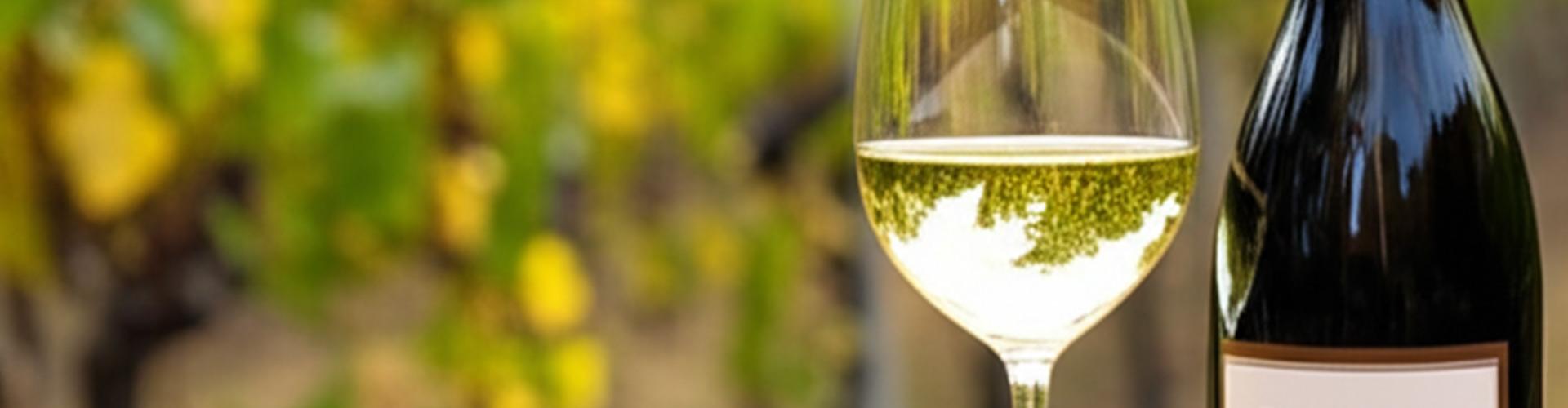 Gippsland white wine glass and bottle with vineyard backdrop showcasing local East Gippsland wine region